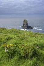 Rock nose in the sea called Candle Stick, Kilkee, County Clare, Ireland