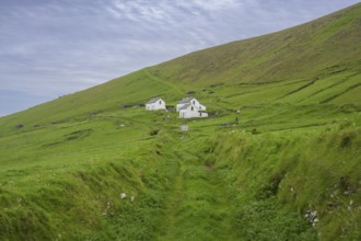 Renovated Homes, Great Blasket Island, Dunquin, Kerry, Ireland