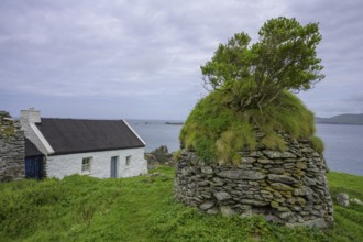 Renovated house, Great Blasket Island, Dunquin, Kerry, Ireland