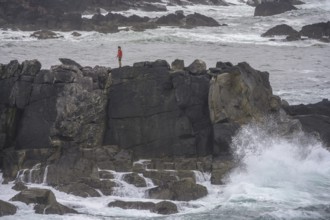 Waves blaze against cliff coast, Blasket Center Viewing Platform, Dunurlin, Kerry, Ireland