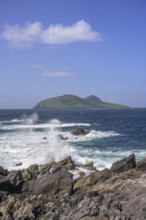 Waves blaze against cliff coast in the background Great Blasket Island, Dunurlin, Kerry, Ireland