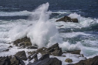 Waves blaze against cliff coast, Dunurlin, Kerry, Ireland