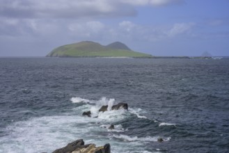 Waves blaze against rocks in the background Great Blasket Island, Blasket Center Viewing Platform,