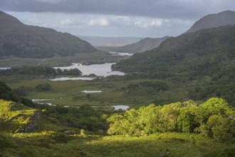 Ladies View, View of Upper Lake, Muckross, Kerry, Ireland