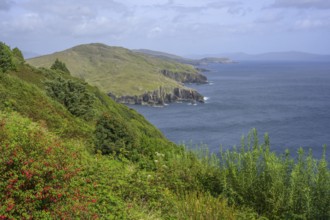 View along the coast, Dzogchen Beara Budistic Centre, Kilnamanagh, County Cork, Ireland
