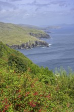 View along the coast, Dzogchen Beara Budistic Centre, Kilnamanagh, County Cork, Ireland