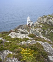 Lighthouse of, Sheepshead, County Cork, Ireland