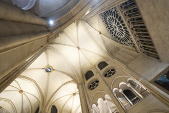 Notre dame cathedral interior ceiling featuring intricate gothic ribbed vaulting, supporting