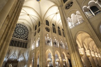 Notre dame cathedral interior in paris revealing soaring gothic vaults, towering columns, layered