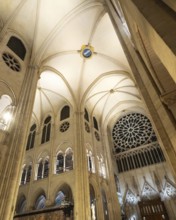 Notre dame de paris cathedral interior showcasing soaring gothic architecture. Pointed arches.