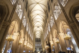 Notre dame cathedral interior in paris, france, displaying the grand gothic architecture with