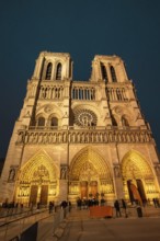 Notre dame de paris, a historic gothic cathedral, standing illuminated at night, showing its iconic