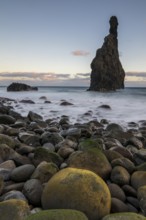 Ilheus da Rib volcanic rock formation on the cliffs of Ribeira da Janela, Madeira, Portugal