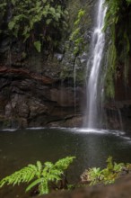 Cascata das 25 Fontes river and waterfall, 25 springs, hiking trail PR6, Levada das 25 Fontes,
