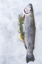 Freshly caught rainbow trout with herbs and citrus arranged on a light textured surface