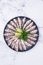 Fresh mullet fish, laid out on a large platter, garnished with lime slices and cilantro, top view