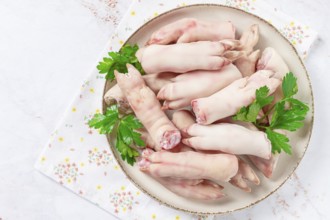 Pork trotters arranged on a plate with fresh parsley on a white background