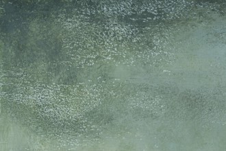 Photo background, colored, textured, heterogeneous background, wallpaper, surface, Dirty green,