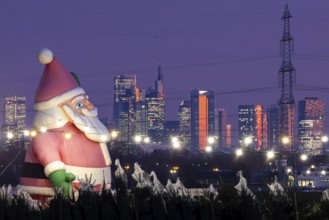 In a Christmas tree center near Frankfurt am Main, a multi-metre-high inflated figure of Santa