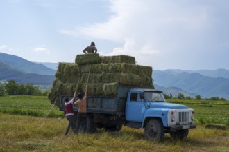 A blue truck is loaded with hay bales, located in a field in front of a panorama of hills, vintage
