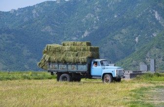 A blue truck with hay bales drives on a dirt road surrounded by green mountains, classic car,