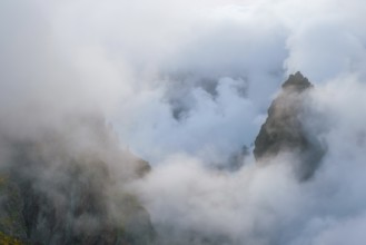 A mountain covered in fog and clouds with blooming Cytisus shrubs. Near Pico de Arieiro, Madeira