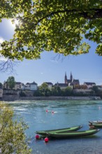 The Rhine with rowing boats in the sunshine in the late afternoon, Basel