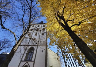 Jakobikirche im Herbst, Lippstadt, North Rhine-Westphalia, Germany