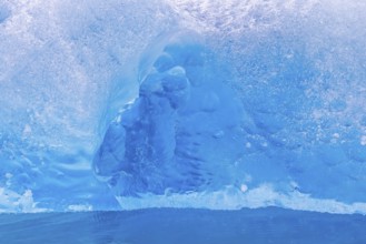 Close-up of blue ice floe calved from Lilliehöökbreen glacier drifting in the Lilliehöökfjorden,