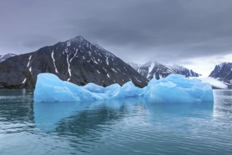 Ice floes calved from Lilliehöökbreen glacier drifting in the Lilliehöökfjorden, fjord branch of