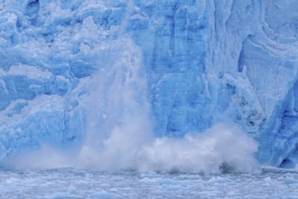 Ice chunk breaking from edge of the calving Lilliehöökbreen glacier into Lilliehöök Fjord,