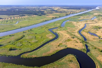 Aerial view over the Oder river in the German-Polish nature reserve Lower Oder Valley International