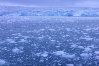 Calving Lilliehöökbreen glacier and resulting ice field in the Lilliehöök Fjord, Lilliehöökfjorden,