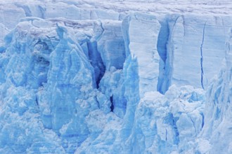 Calving glacier wall showing crevasses, deep cracks in blue ice, Lilliehöök Fjord, Krossfjorden in