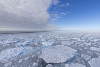Drift ice / brash ice, floating field of sea ice composed of several ice floes in the Arctic Ocean