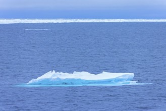 Ice floe drifting in the Arctic Ocean at Svalbard / Spitsbergen, Norway