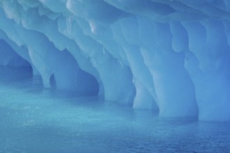 Dripping blue ice pattern from erosion by sea water on base of melting iceberg in the Arctic Ocean