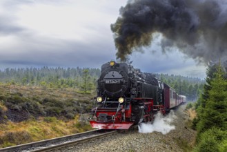1950s steam train 997243 Neubaulokomotive / Neubaulok riding the Brocken Narrow Gauge railway line