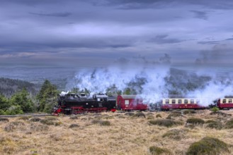 1950s steam train 99236 Neubaulokomotive / Neubaulok riding the Brocken Narrow Gauge railway line