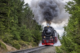 1950s steam train 99247 Neubaulokomotive / Neubaulok riding the Brocken Narrow Gauge railway line