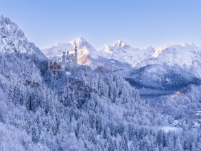 Picturesque picture of Neuschwanstein Castle nestled in a magnificent winter landscape with
