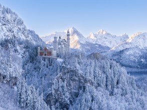 Neuschwanstein Castle in the blue winter light, surrounded by snow-capped mountains and quiet