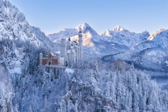 Wintery Neuschwanstein Castle in a snowy mountain landscape. Bright sun rays on the peaks,