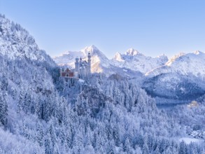 Impressive winter image of Neuschwanstein Castle surrounded by snow-covered mountains and trees.