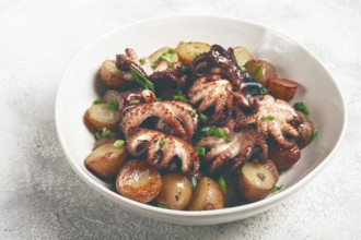 Baby grilled octopus with golden baked potatoes and fresh herbs, Maltese cuisine, homemade, no