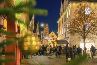 View of an illuminated Christmas tree through blurred pine branches at a Christmas market,