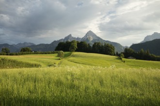 Watzmann at sunset, with meadow and pasture in summer, sunbeams and clouds. Berchtesgaden, Bayern,