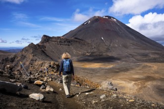 A hiker on the Tongariro Alpine Crossing trail. View of Mt Ngauruhoe. Tongariro National Park.