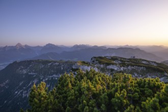 On the Berchtesgaden High Throne in summer at sunset, mountain pine and view of the StÃ¶rhaus on