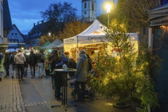 Visitors explore an atmospheric Christmas market with colorful lights, Aidlingen Christmas Market,